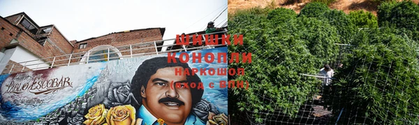 спайс Магадан