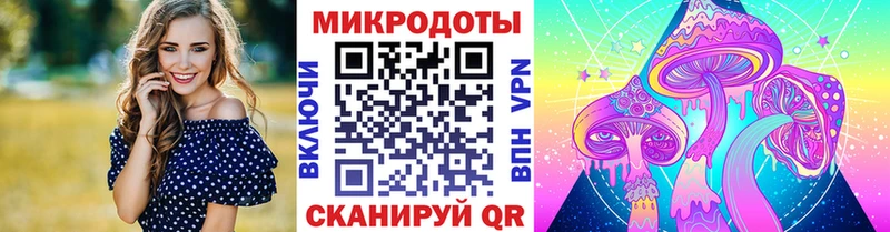 Галлюциногенные грибы ЛСД  Купить где  Новоржев 